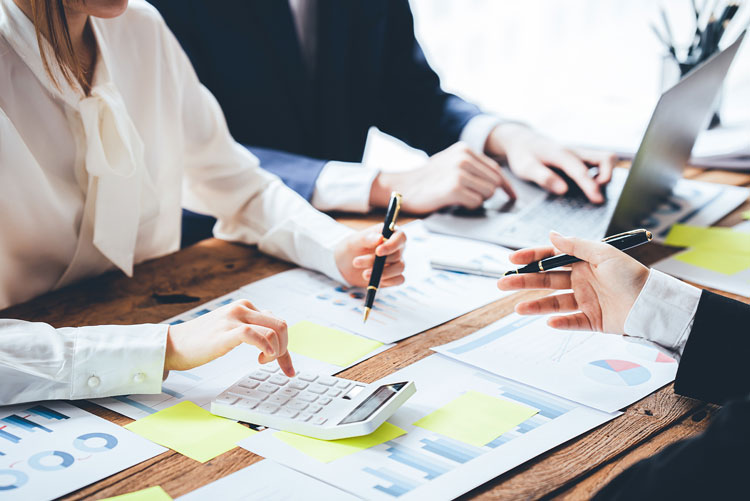 Tax Preparation and Planning